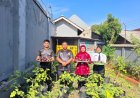Rutan Demak Panen Terong: Wujud Nyata Pemberdayaan Warga Binaan Dukung Ketahanan Pangan
